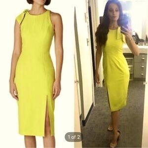 Sold Out! Milly Cady Caden Dress sz.2- NWOT! $325 retail